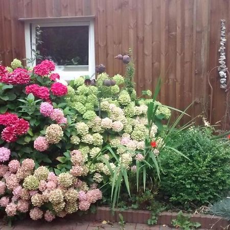1 Raum Appartement Mit Kuechenzeile In 카페룬 외부 사진